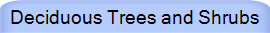 Deciduous Trees and Shrubs
