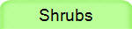 Shrubs