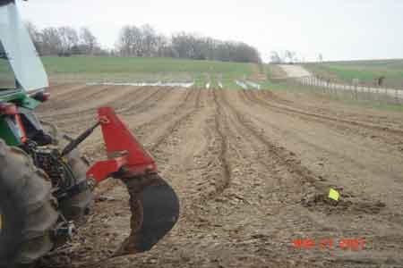 Our deep ripper which ripped the tree row twice before we planted - click to enlarge